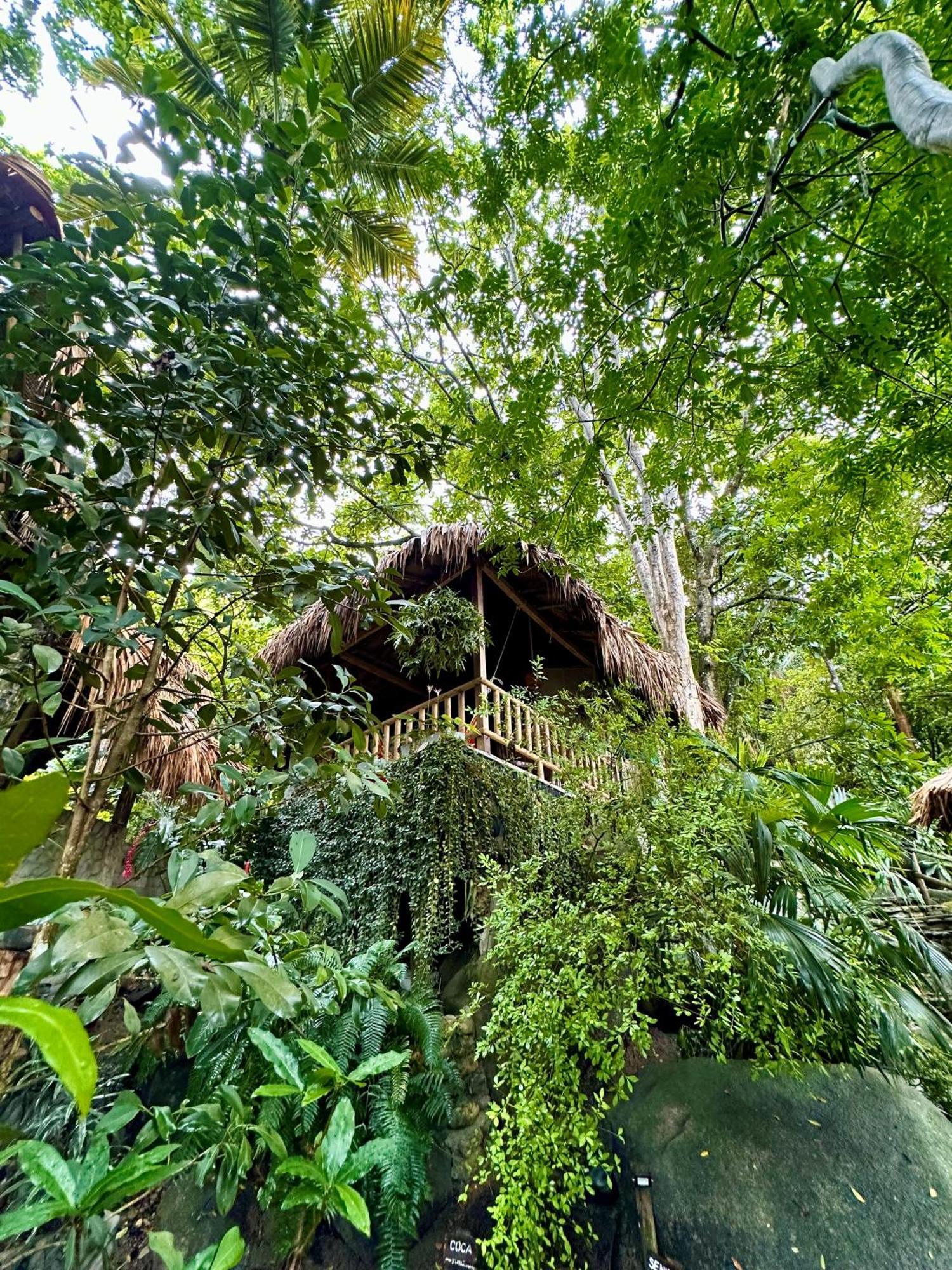 Hostal Eco Yuluka *